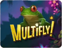 Multifly Slot